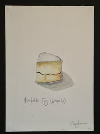 Humboldt Fog (Grande) cheese