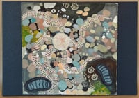 Brittle-star and chitons