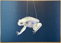Frog Puppet 