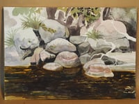 River Rocks 