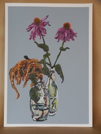 Echinacea and amaranth in jars