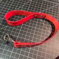 Image 6 of Leash 