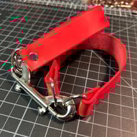 Image 2 of Restraint Loops