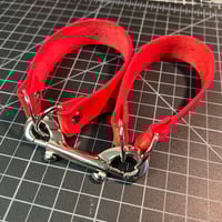 Image 4 of Restraint Loops