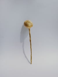 Image 2 of Pin de Pelo Caracola