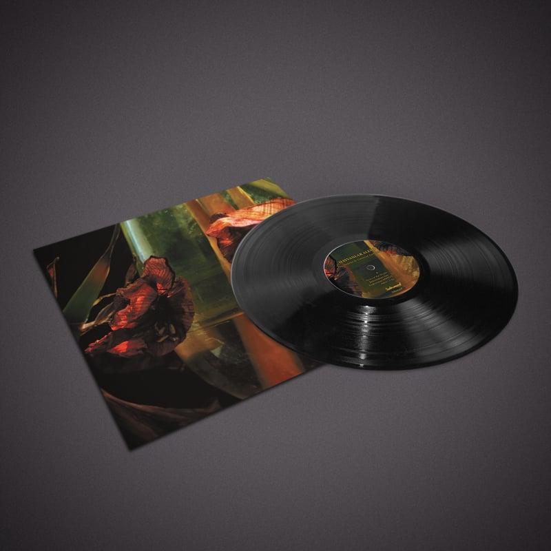 Hayvanlar Alemi- Psychedelia In Times Of Turbulence - LP | LIMITED | CD