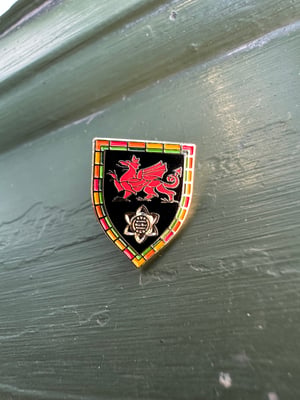 Image of SO58 X Y Ddraig Enamel Pin Badge 