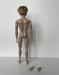 Image 4 of American Horror Story Coven Kyle Spencer doll