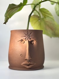 Image 1 of Charlotte- Pothead