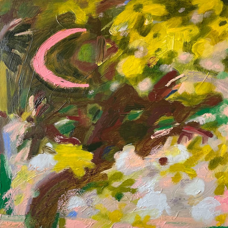 Pink Moon