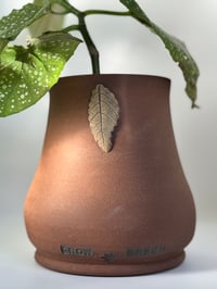 Image 3 of George- Pothead