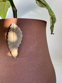 Image 2 of George- Pothead