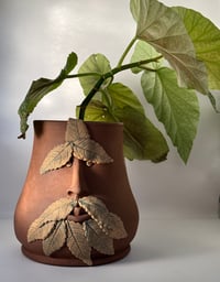 Image 1 of George- Pothead