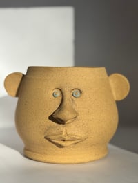 Image 1 of Edmond- Pothead