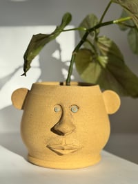 Image 2 of Edmond- Pothead