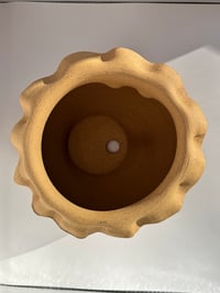 Image 3 of Claudia- Pothead