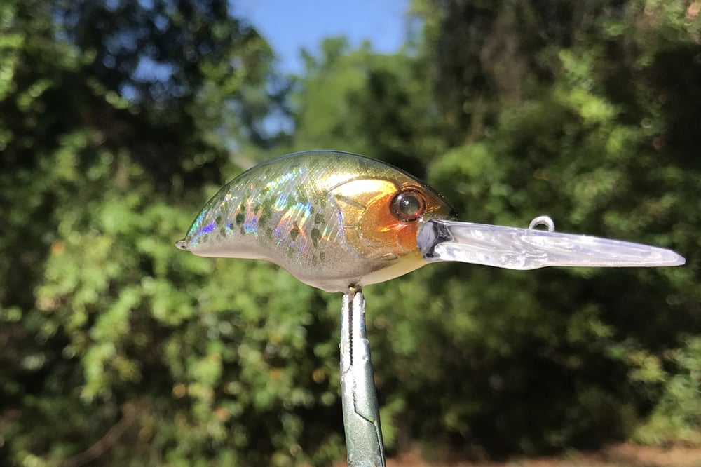 SPEEDBAITS Custom Airbrushed Blitzit Crankbait 5418 - Image 4