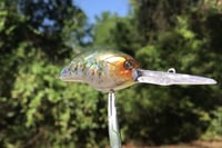 Image 4 of SPEEDBAITS Custom Airbrushed Blitzit Crankbait 5418