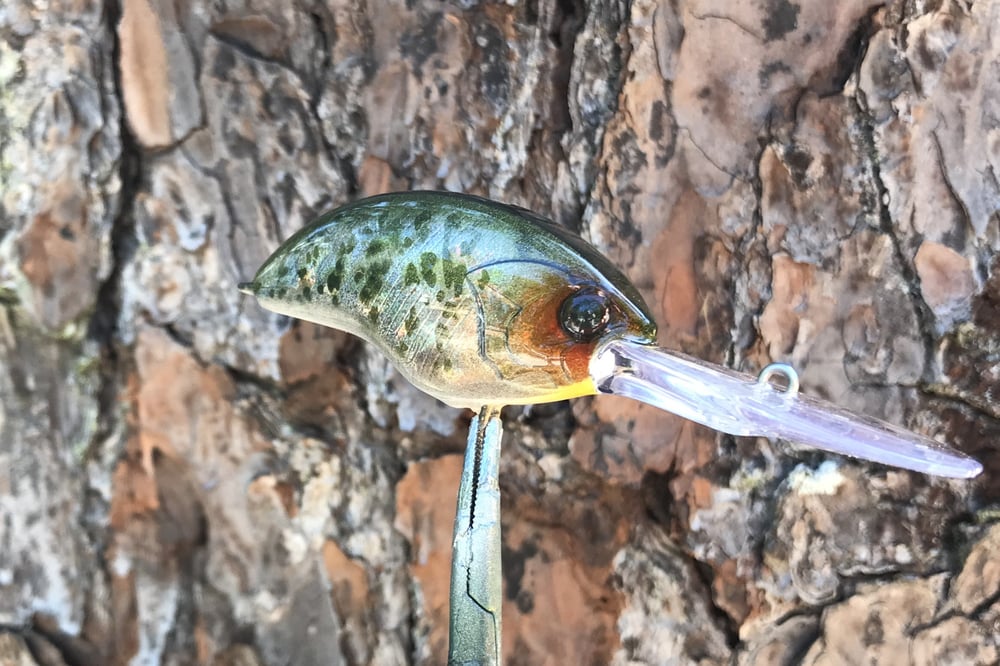 SPEEDBAITS Custom Airbrushed Blitzit Crankbait 5418 - Image 2
