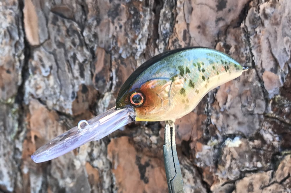 SPEEDBAITS Custom Airbrushed Blitzit Crankbait 5418