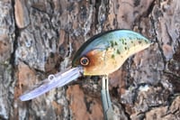 Image 1 of SPEEDBAITS Custom Airbrushed Blitzit Crankbait 5418