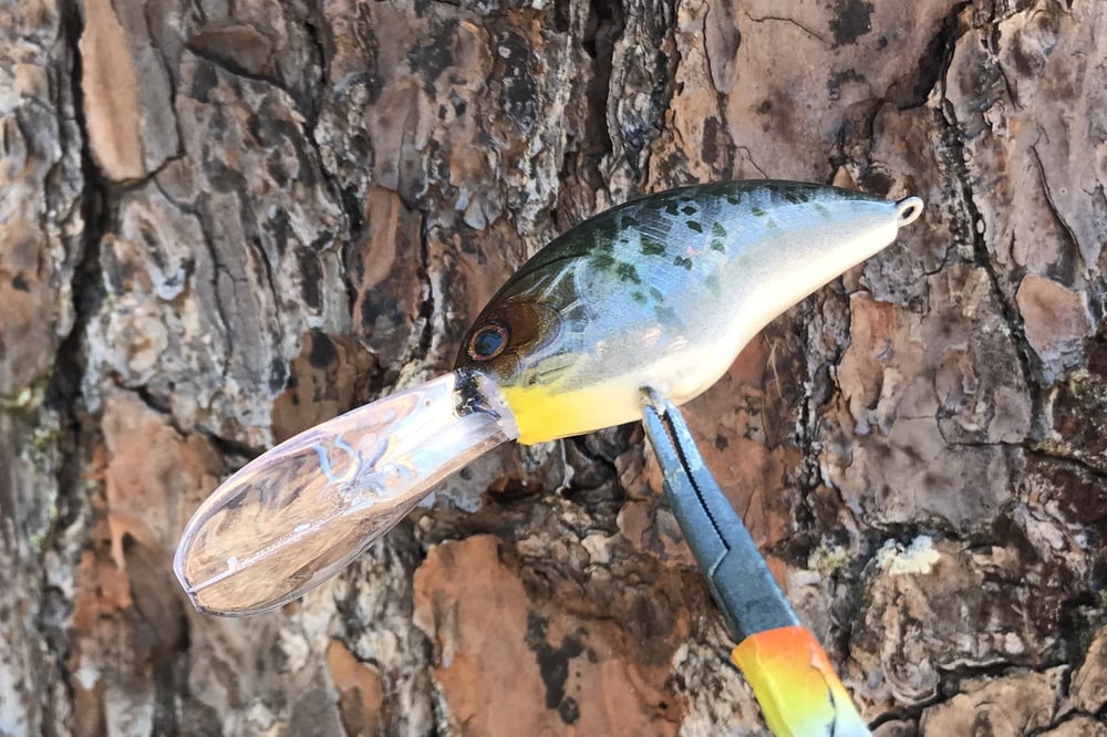 SPEEDBAITS Custom Airbrushed Blitzit Crankbait 5418 - Image 3