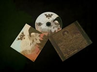 Image 3 of Celtic Dance – Obsolete Tolerance