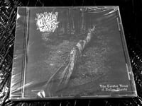 Image 3 of Hollow Woods – Like Twisted Bones Of Fallen Giants