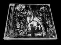 Image 1 of Silvanthrone – Forbidden Pathways To Ancient Wisdom