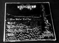 Image 2 of Verflucht – Verflucht