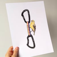 Image 1 of Tiny Climbing Partner