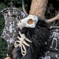 Image 1 of Dans Macabre Skeleton Bat