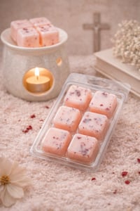 Image 3 of Faith and Fig 6 Cavity Soy Wax Melts