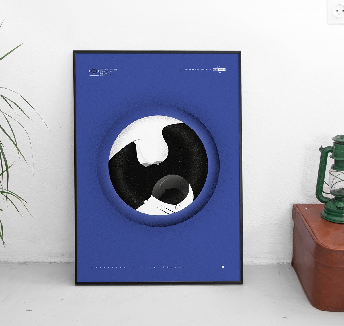 Image of SALE! IFO identified flying object