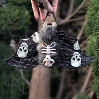 Image 1 of Anatomy Skeleton Bat 