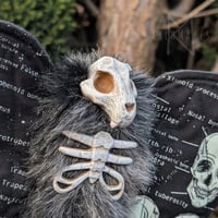 Image 3 of Anatomy Skeleton Bat 