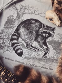 Image 1 of RACCOON | SHORELINE WANDERER [t-shirt]