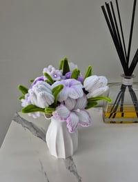 Image 2 of Violet Lavender 