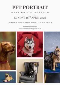 Image 1 of Mini Pet Sessions - Sunday 16th May 2026