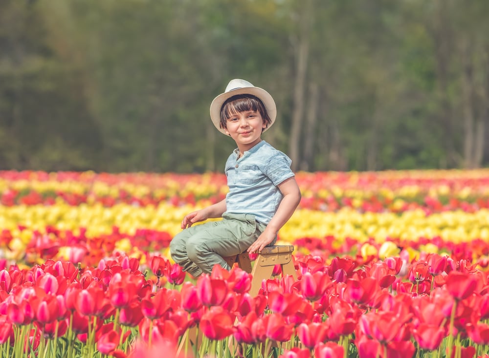 Dalton Farms Tulip Minis