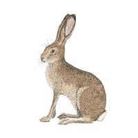 Image 1 of HARE ART PRINT