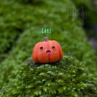 Image 9 of Pumpkin Pals