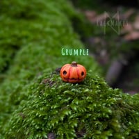 Image 7 of Pumpkin Pals