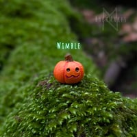 Image 6 of Pumpkin Pals