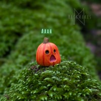 Image 2 of Pumpkin Pals