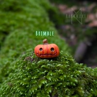 Image 5 of Pumpkin Pals