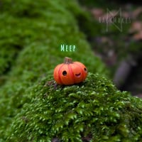 Image 3 of Pumpkin Pals