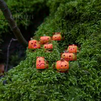 Image 1 of Pumpkin Pals