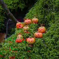 Image 11 of Pumpkin Pals