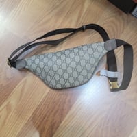 Image 2 of Small Fanny